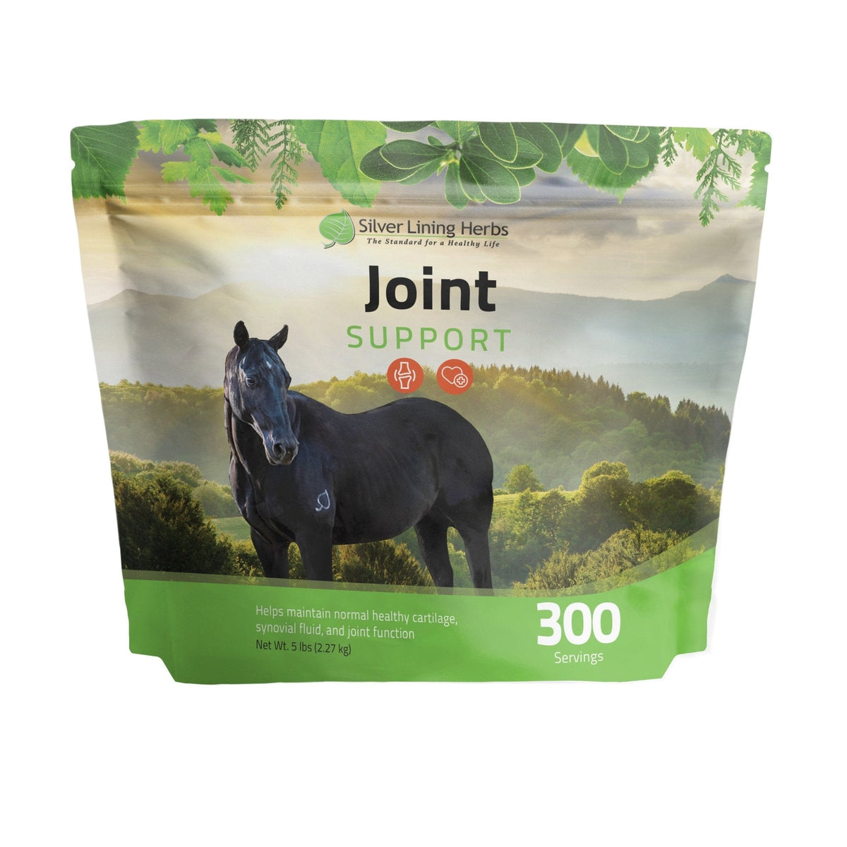 Joint Support for Horses