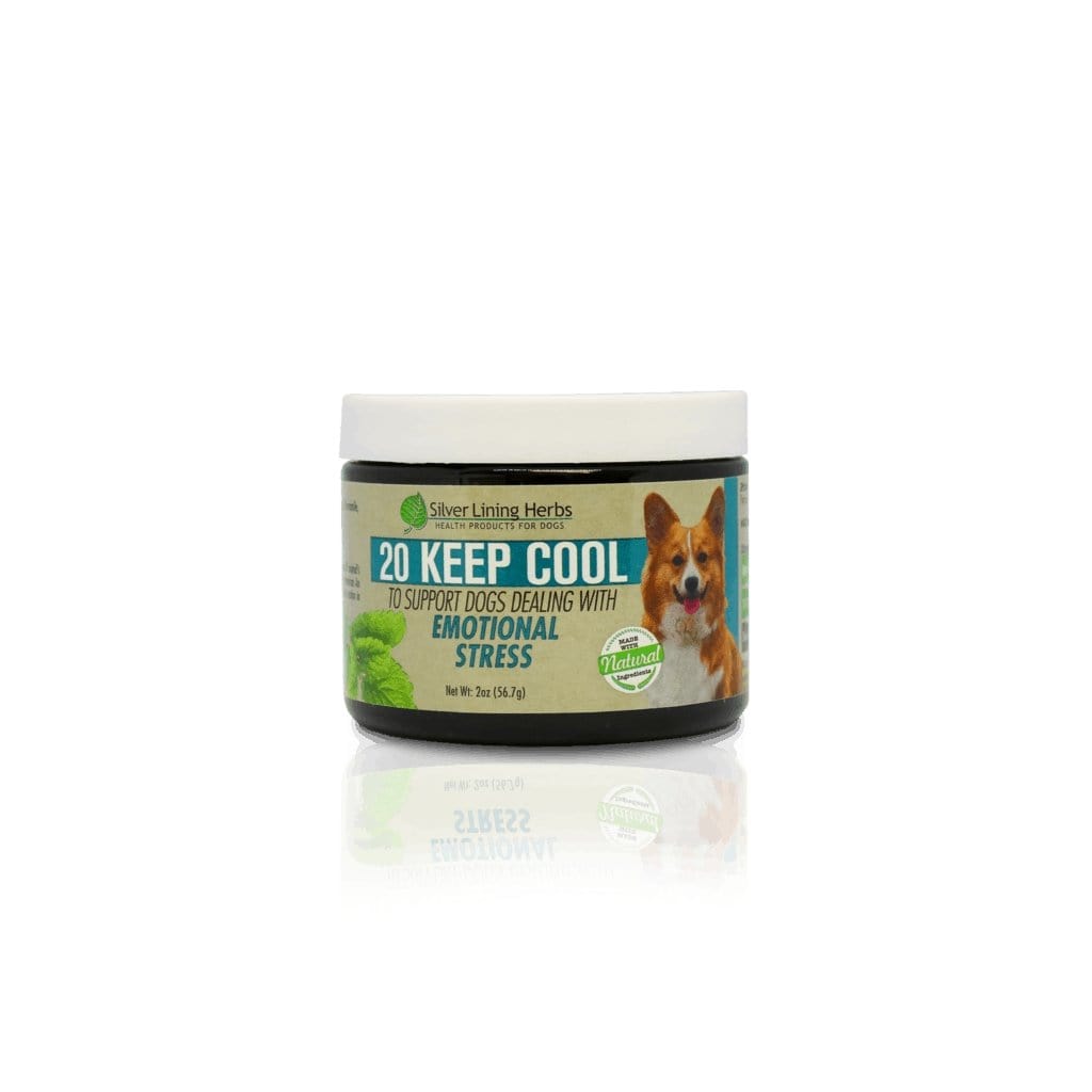 Keep Cool for Canines