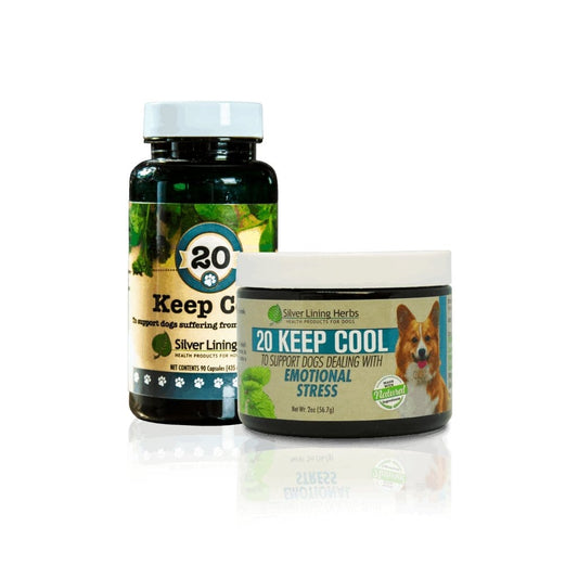 Keep Cool for Canines