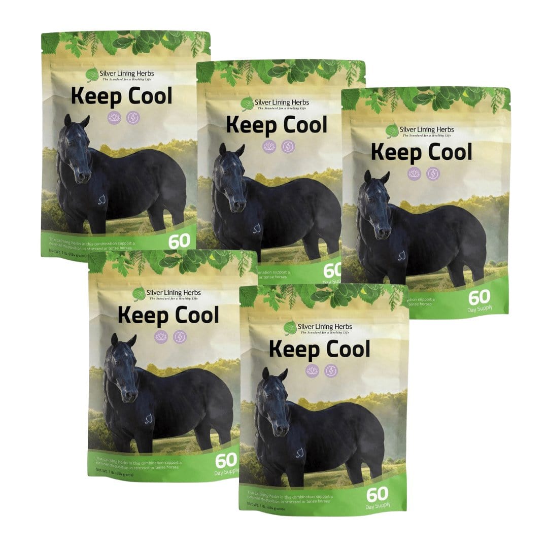Keep Cool for Horses