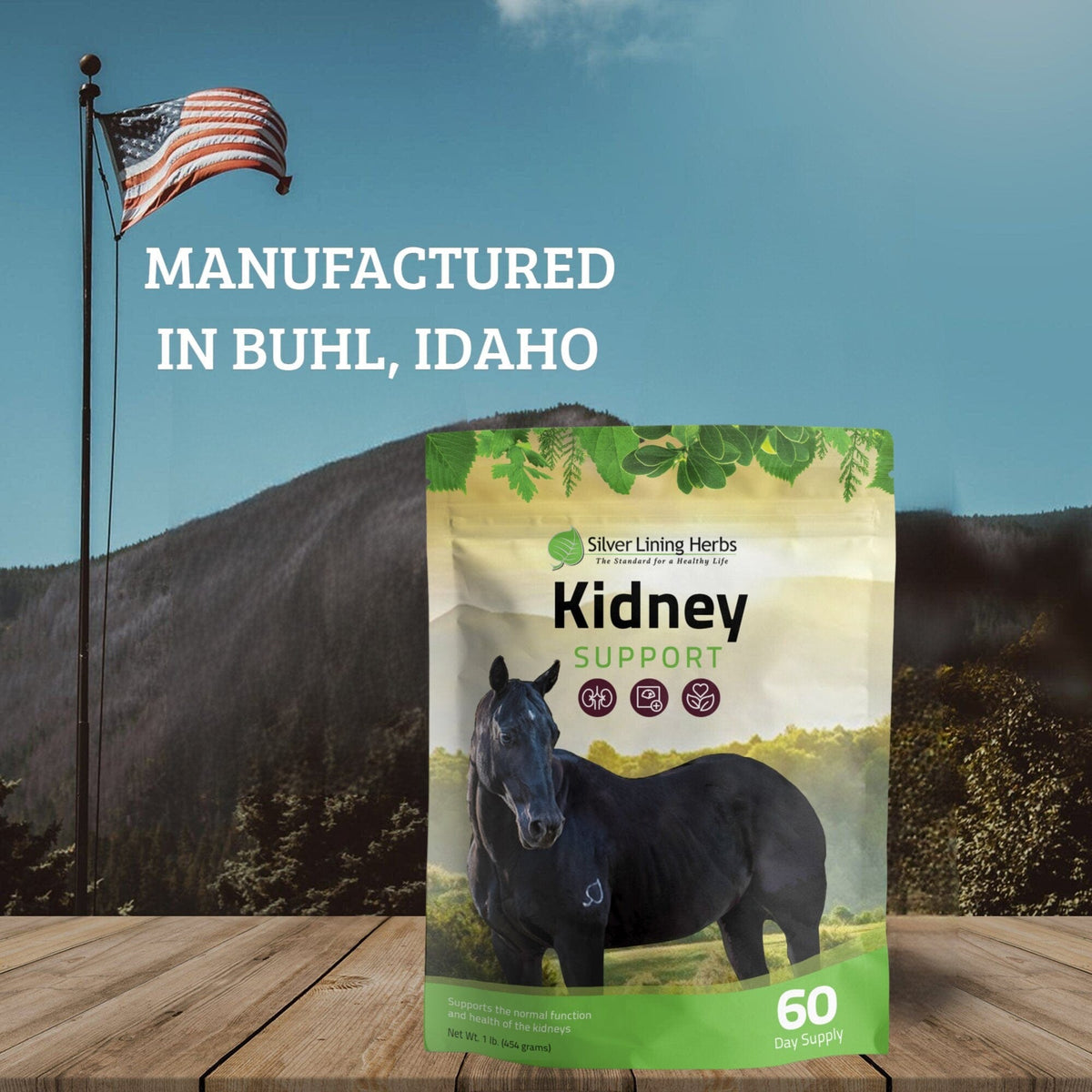 Liver Support for Horses