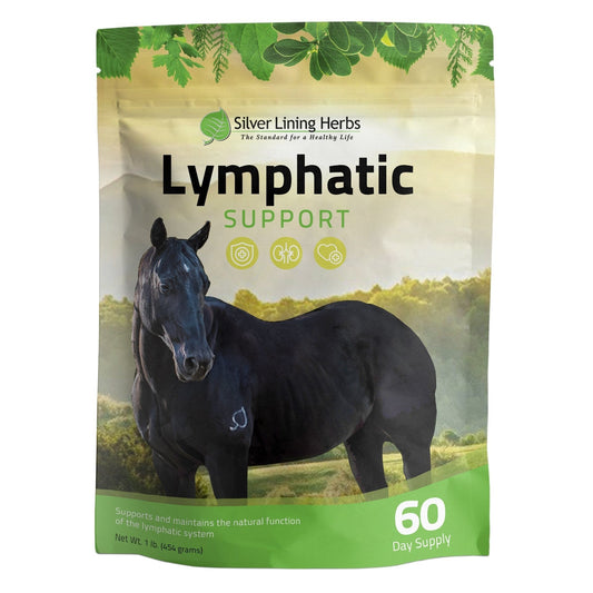 Lymphatic Support for Horses