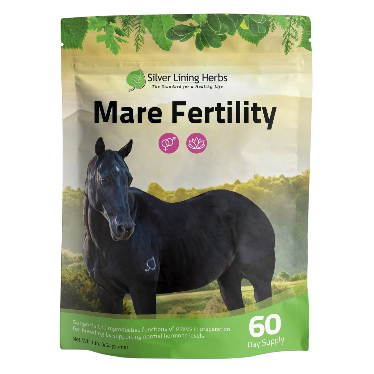 Mare Fertility For Horses