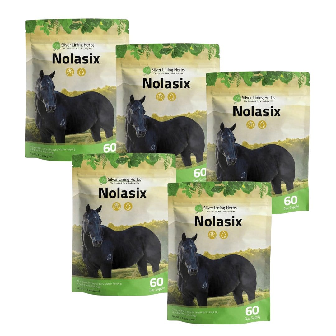 Nolasix for Horses