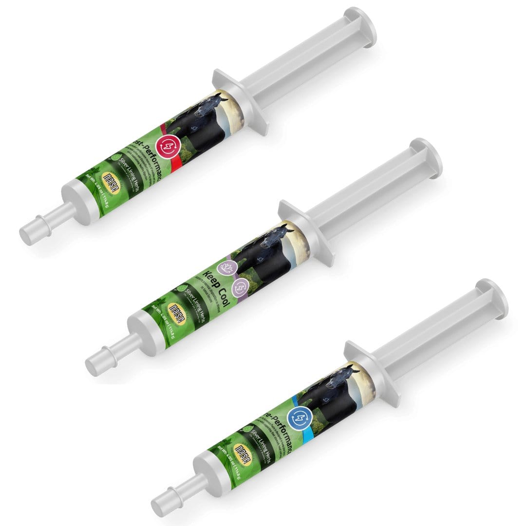 Performance Paste Bundle for Horses
