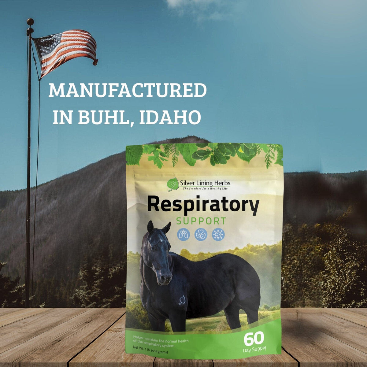 Respiratory Support for Horses