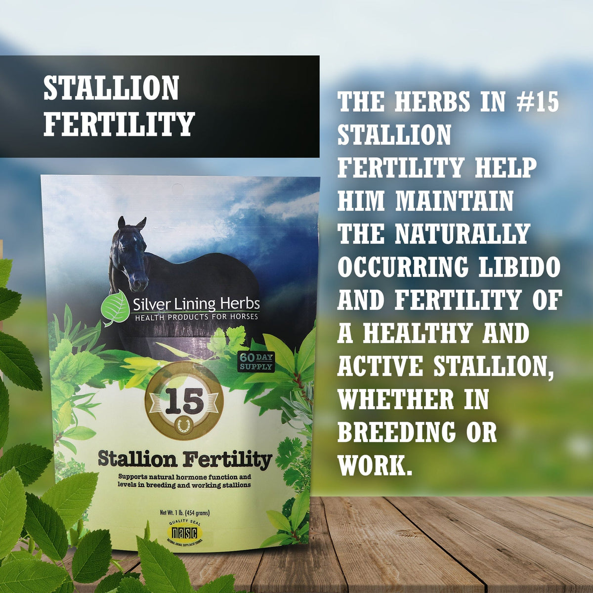 Stallion Fertility For Horses