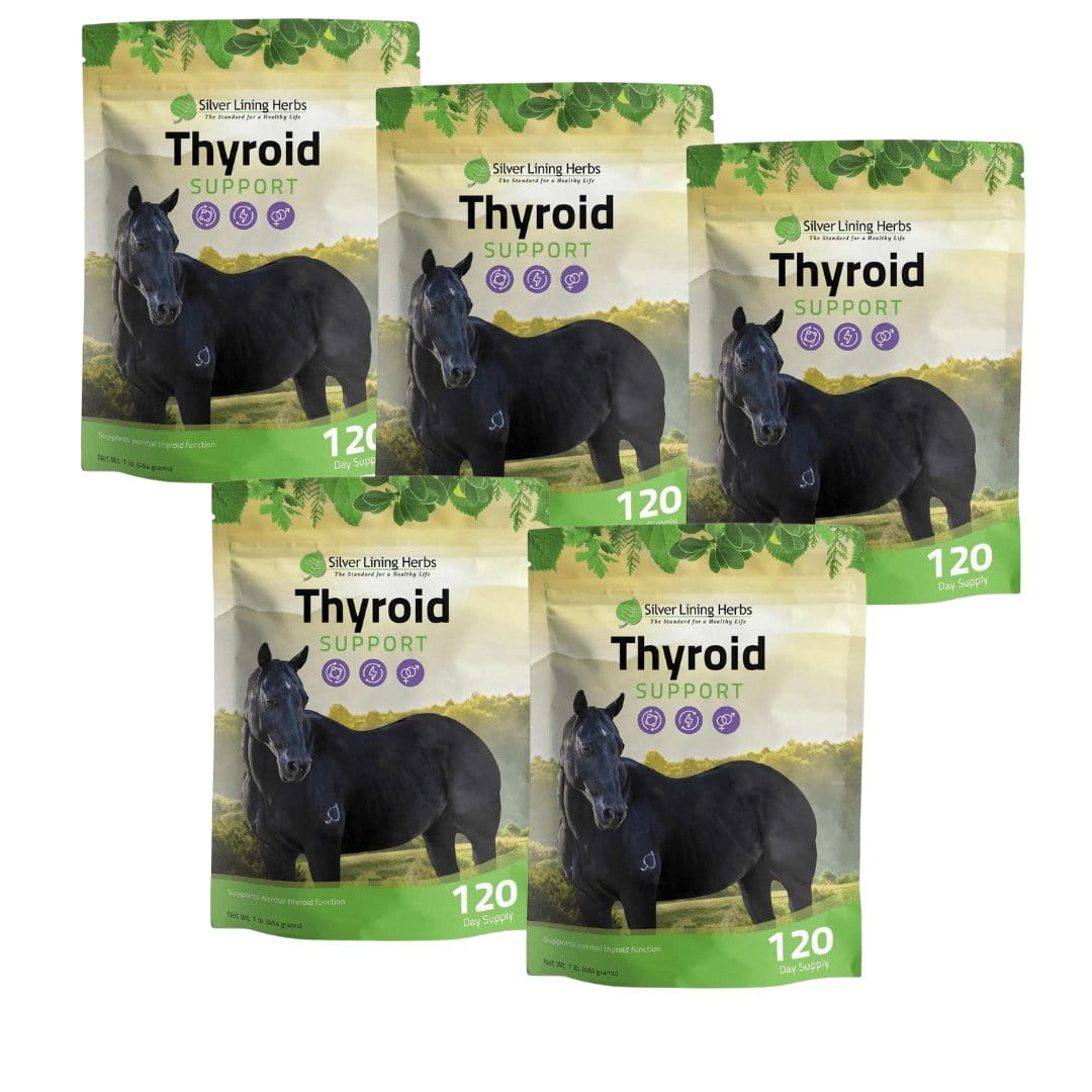 Thyroid Support for Horses