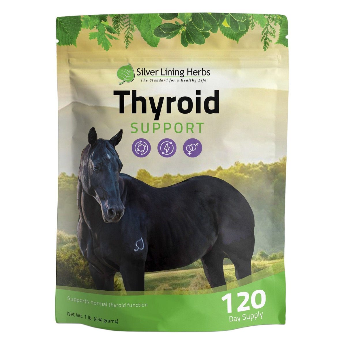 Thyroid Support for Horses