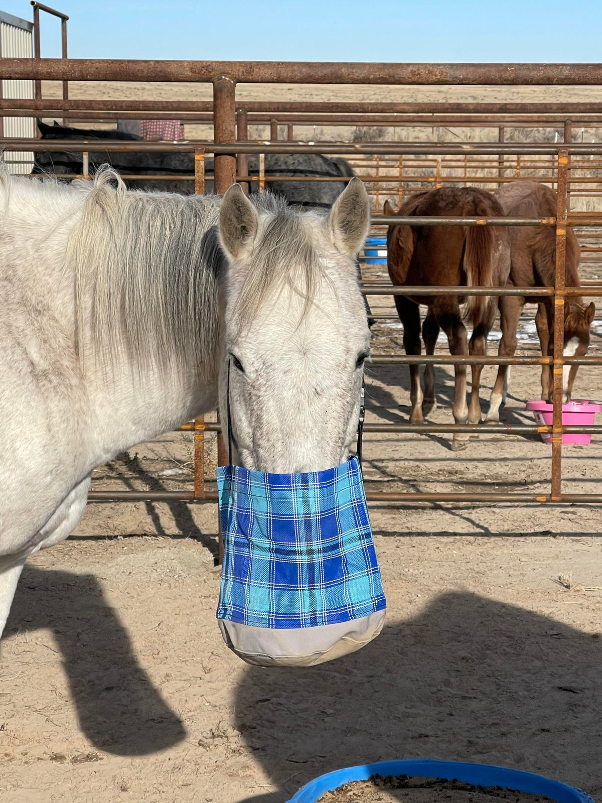 Hazer Horsewear Feed Bag
