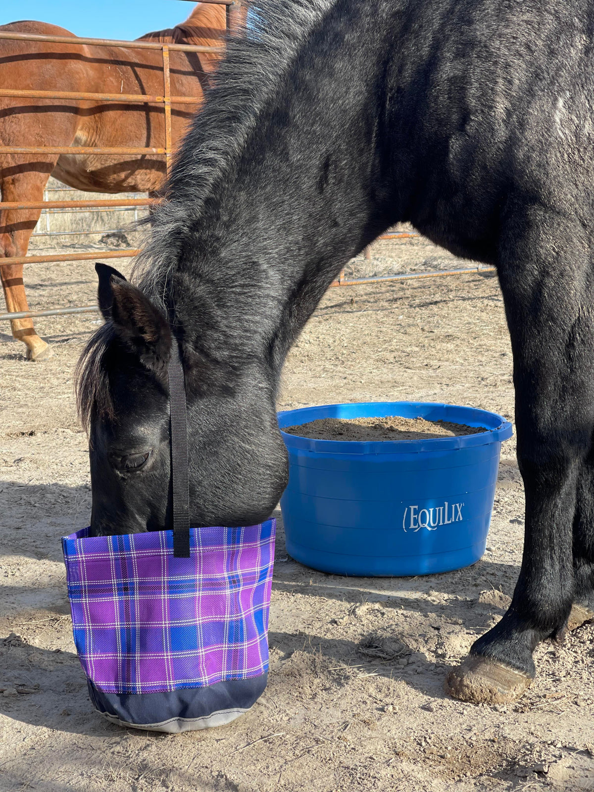 Hazer Horsewear Feed Bag