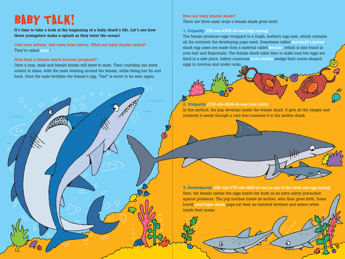 100 Questions About Sharks